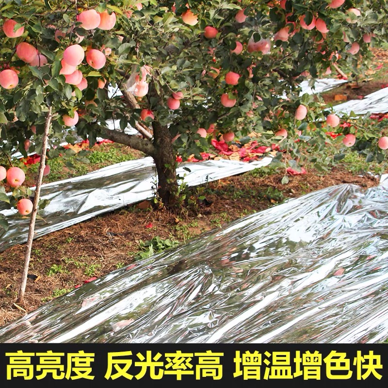 桂林市塑料薄膜果树反光膜 - 排名